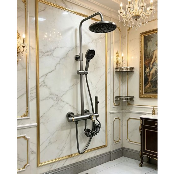 L558R gray shower set ,china